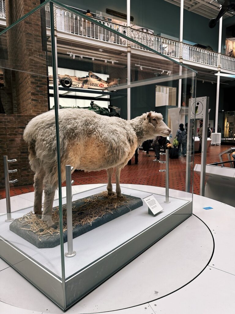 National Museum Scotland Edinburgh