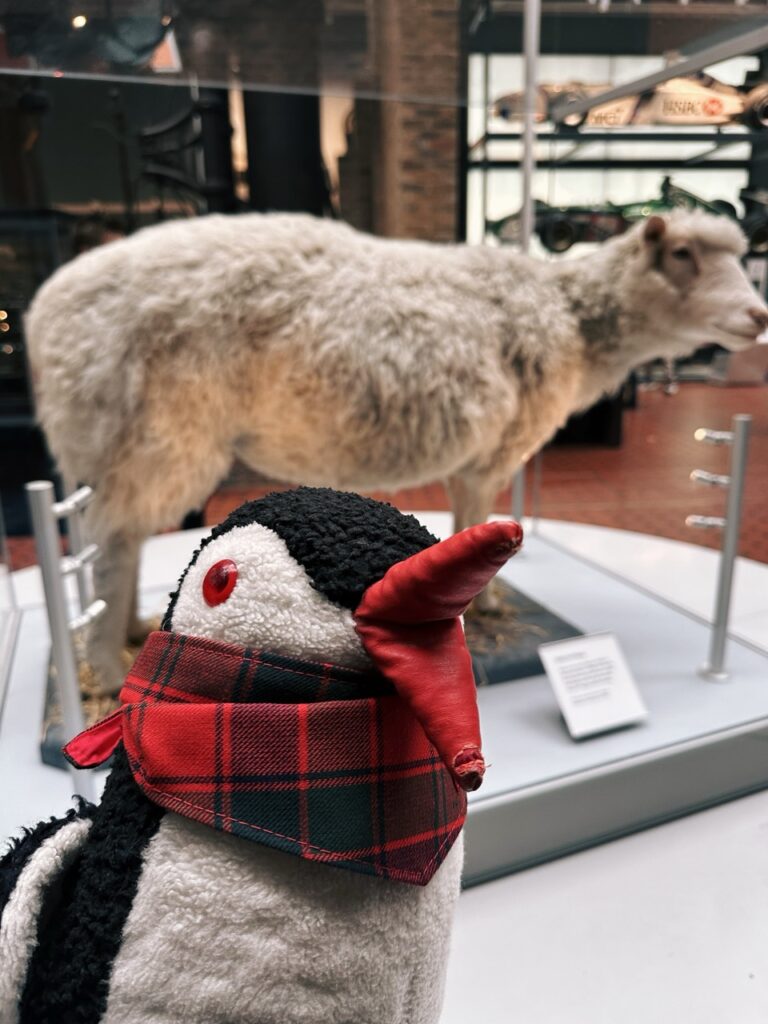 National Museum Scotland Edinburgh