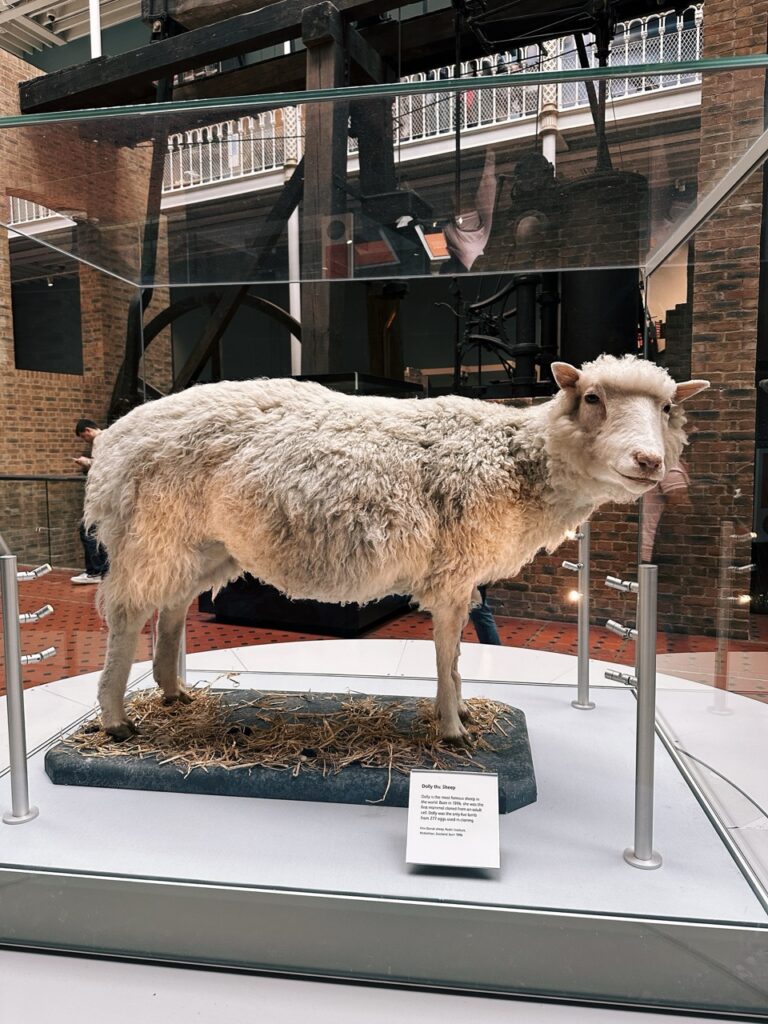 National museum scotland Edinburgh