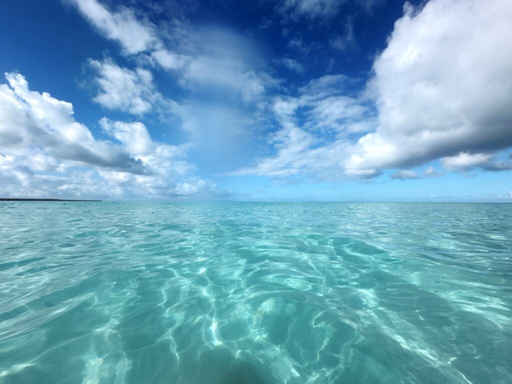 Natural pool Saona dr