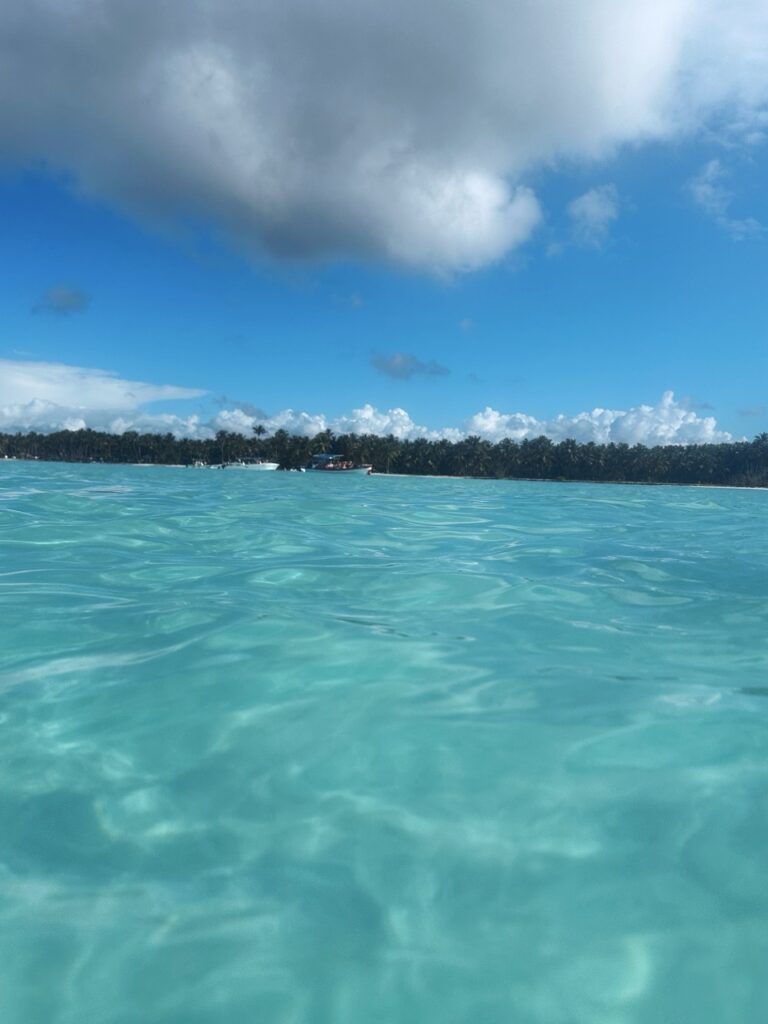 Natural pool Saona dr