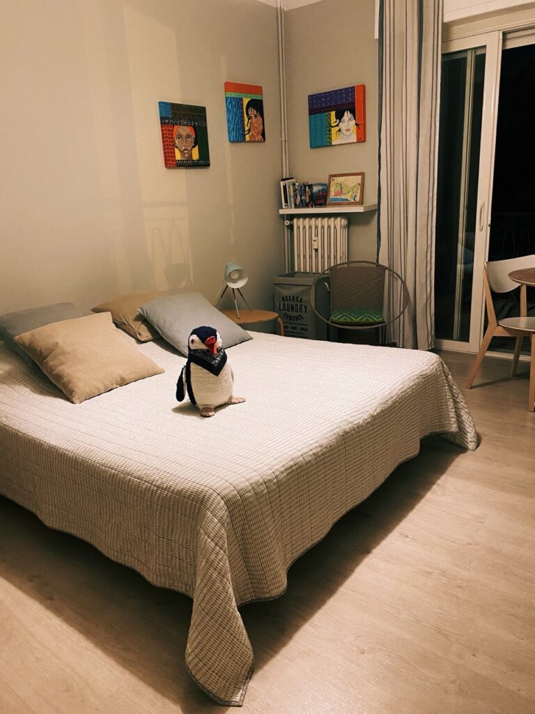 Nice france airbnb