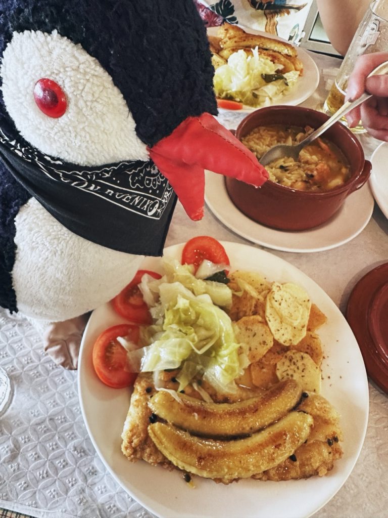 Plush penguin toy Miško sitting at a table with plates of food in Madeira