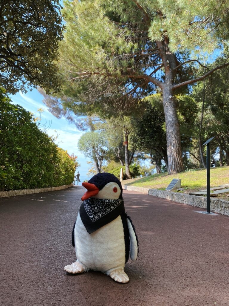 One Day in Monaco
