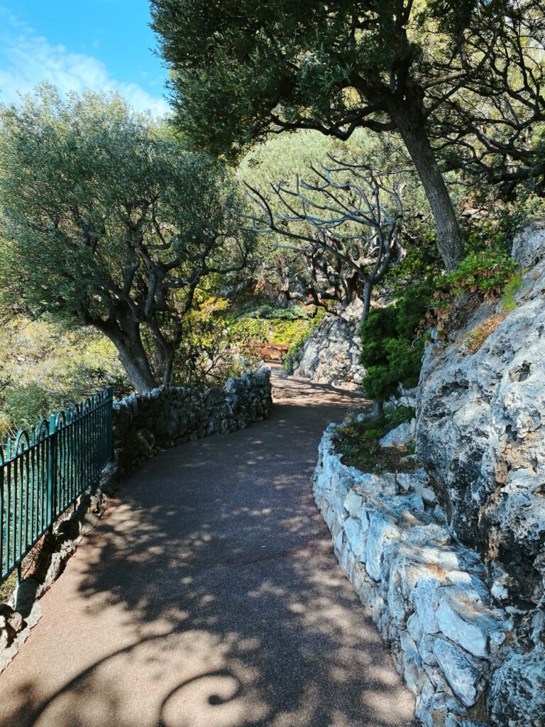 One Day in Monaco