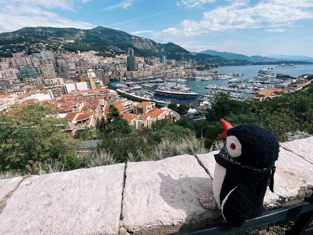One Day in Monaco