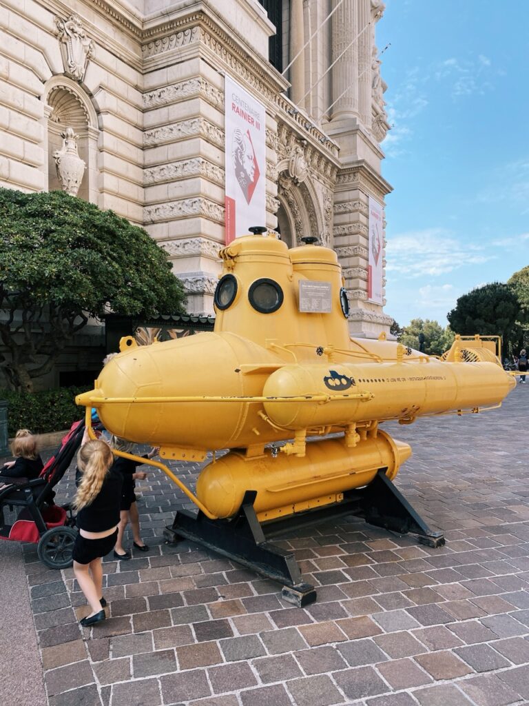 One Day in Monaco