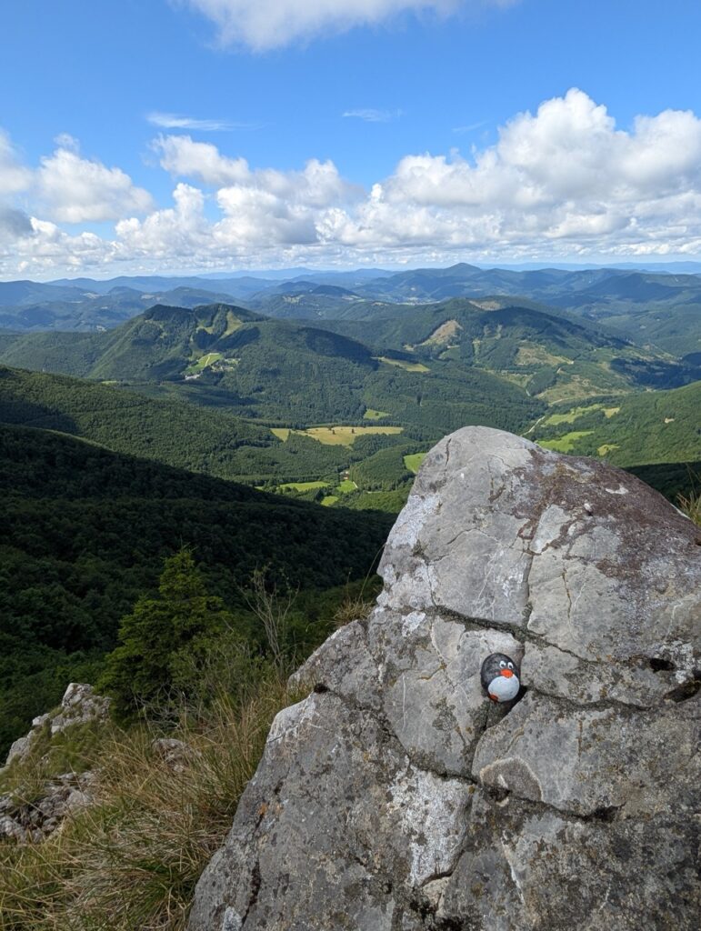 Penguin stone Slovakia