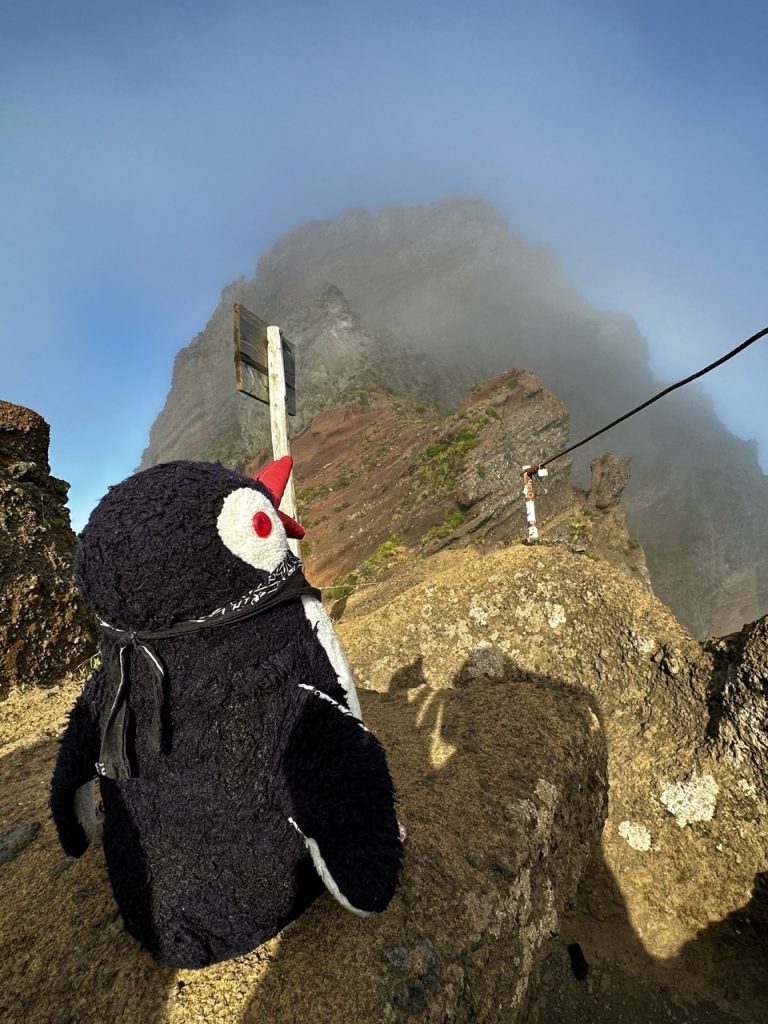 Pico ruivo Hike