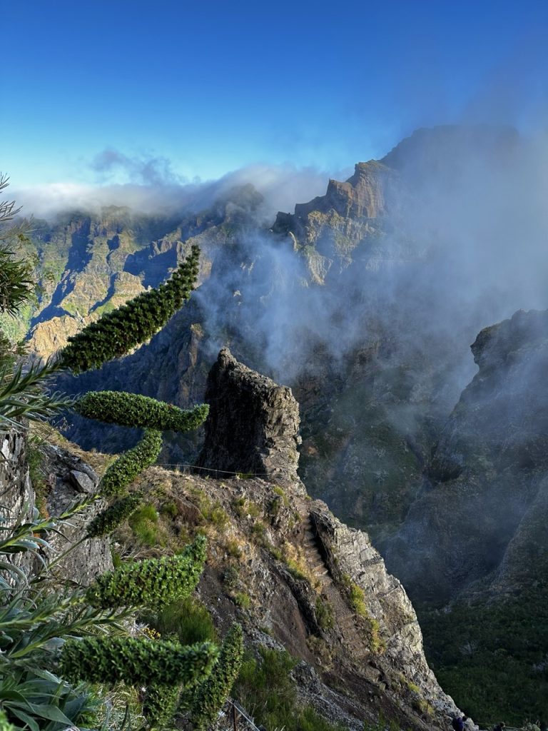 Pico ruivo Hike