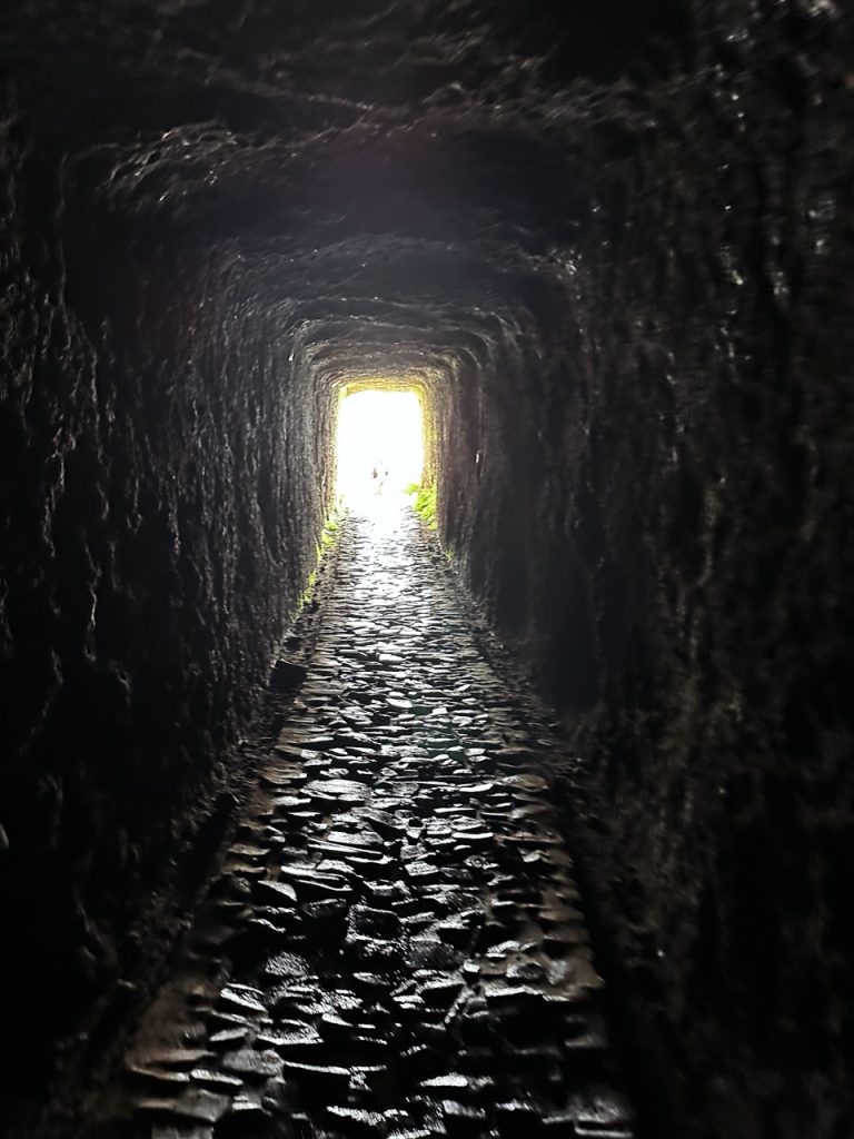 Pico ruivo Hike