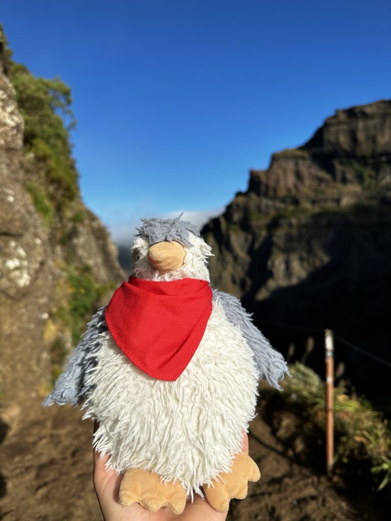 Pico ruivo Hike