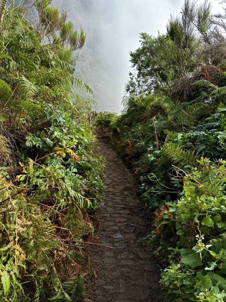 Pico ruivo Hike