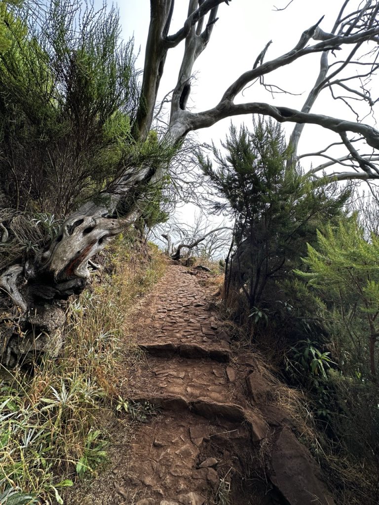 Pico ruivo Hike