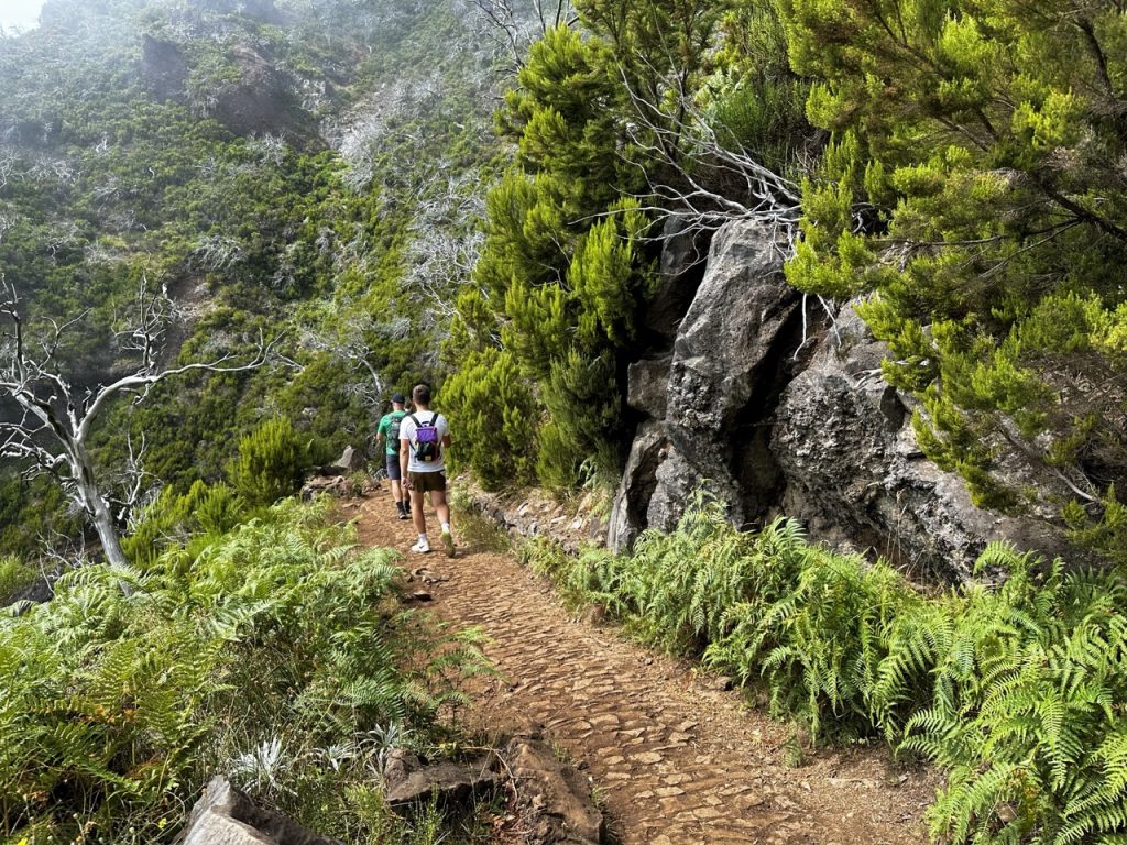 Pico ruivo Hike