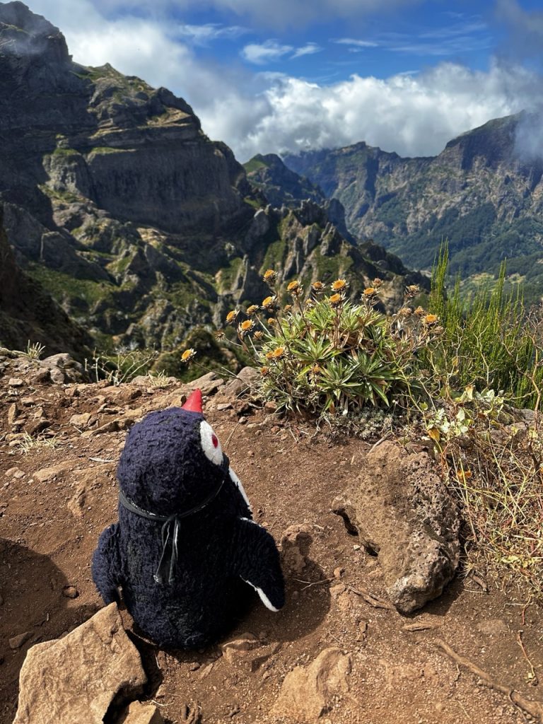 Pico ruivo Hike