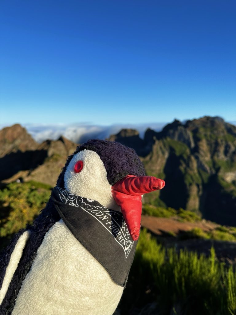 Pico ruivo Hike