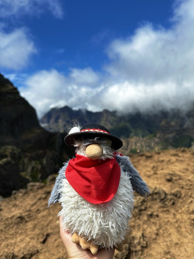 Pico ruivo Hike