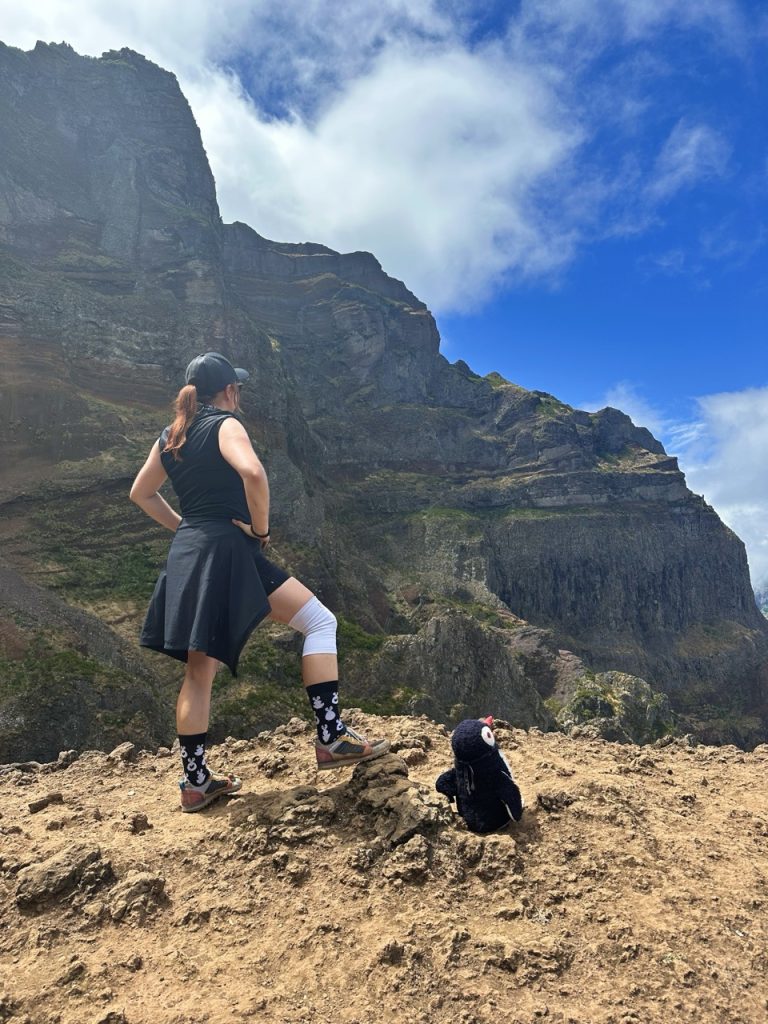 Pico ruivo Hike