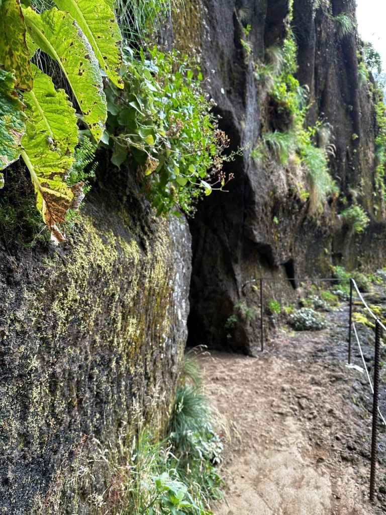 Pico ruivo Hike