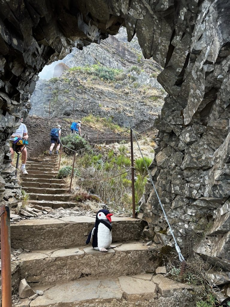 Pico ruivo Hike