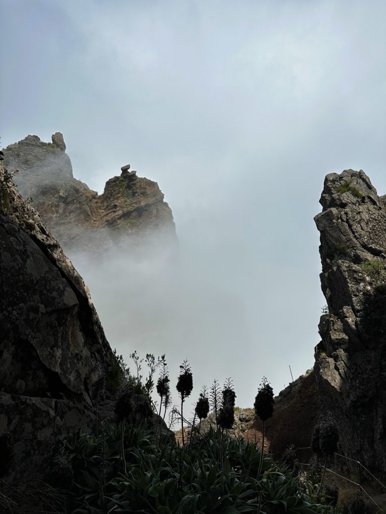 Pico ruivo Hike