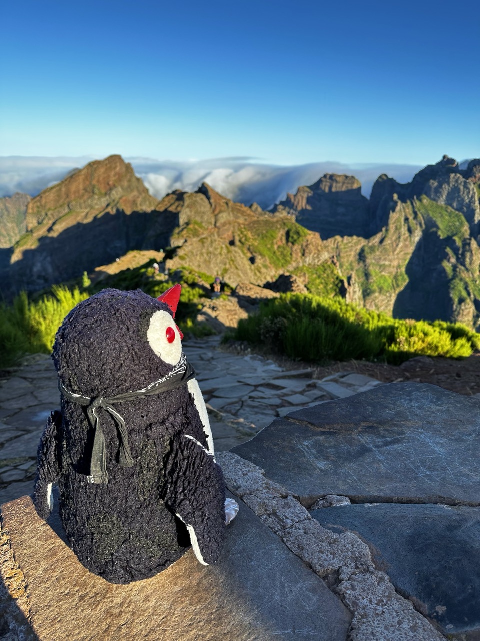 Pico ruivo Hike
