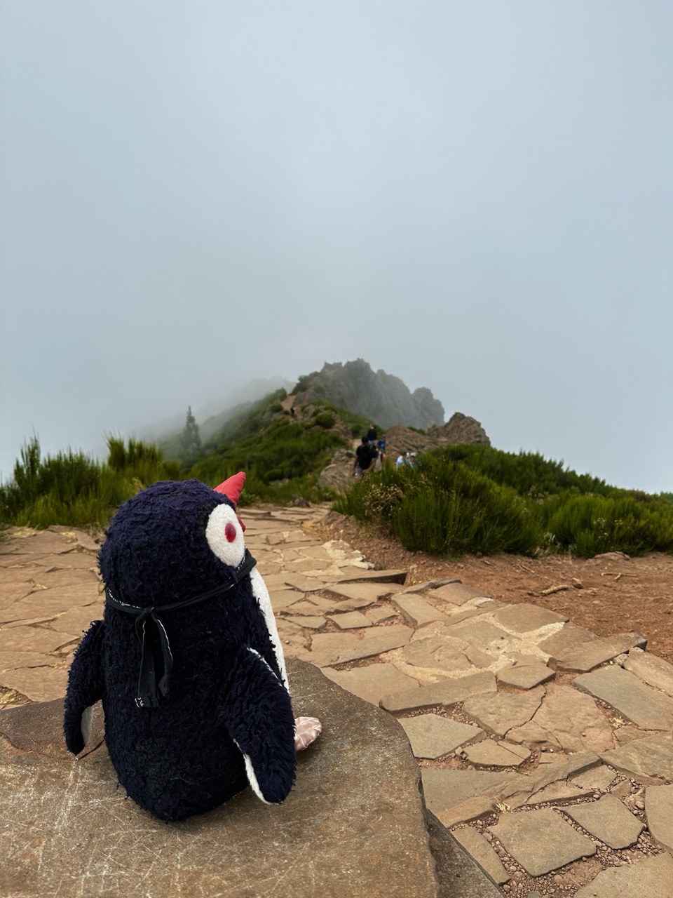 Pico ruivo Hike