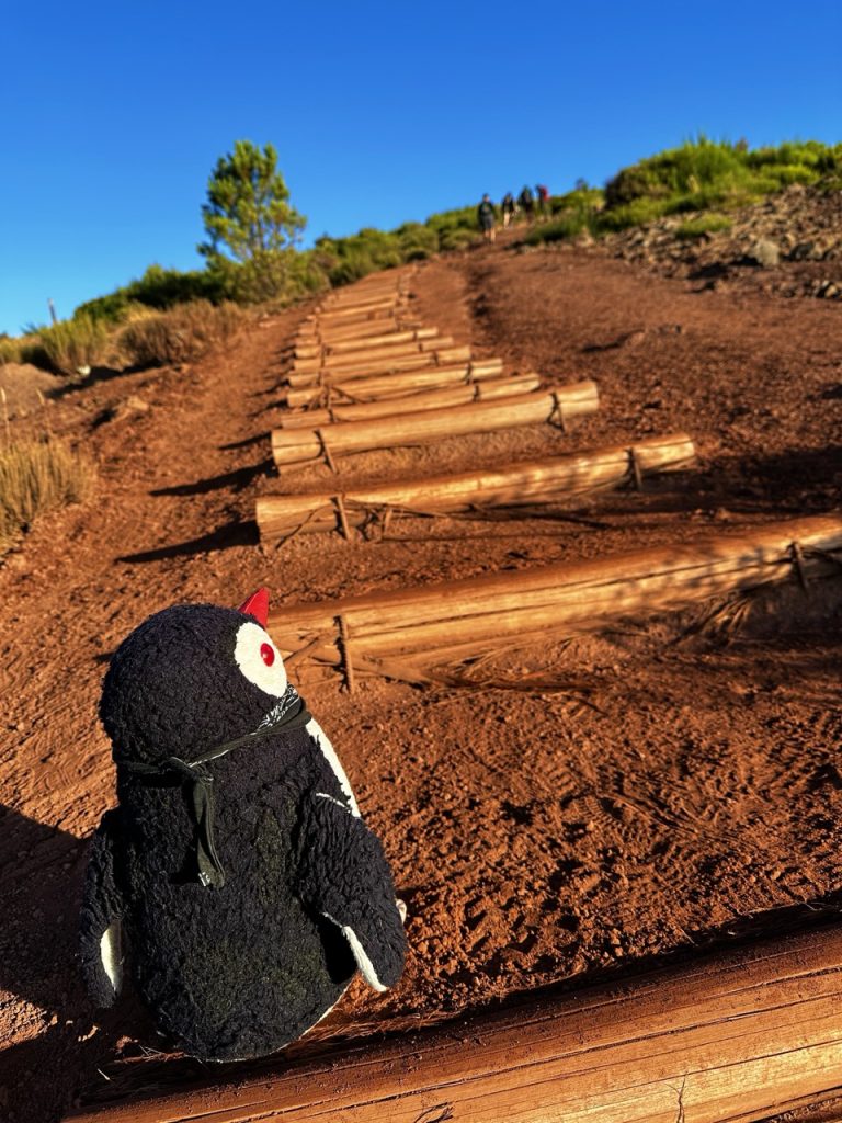 Pico to areiro Hike