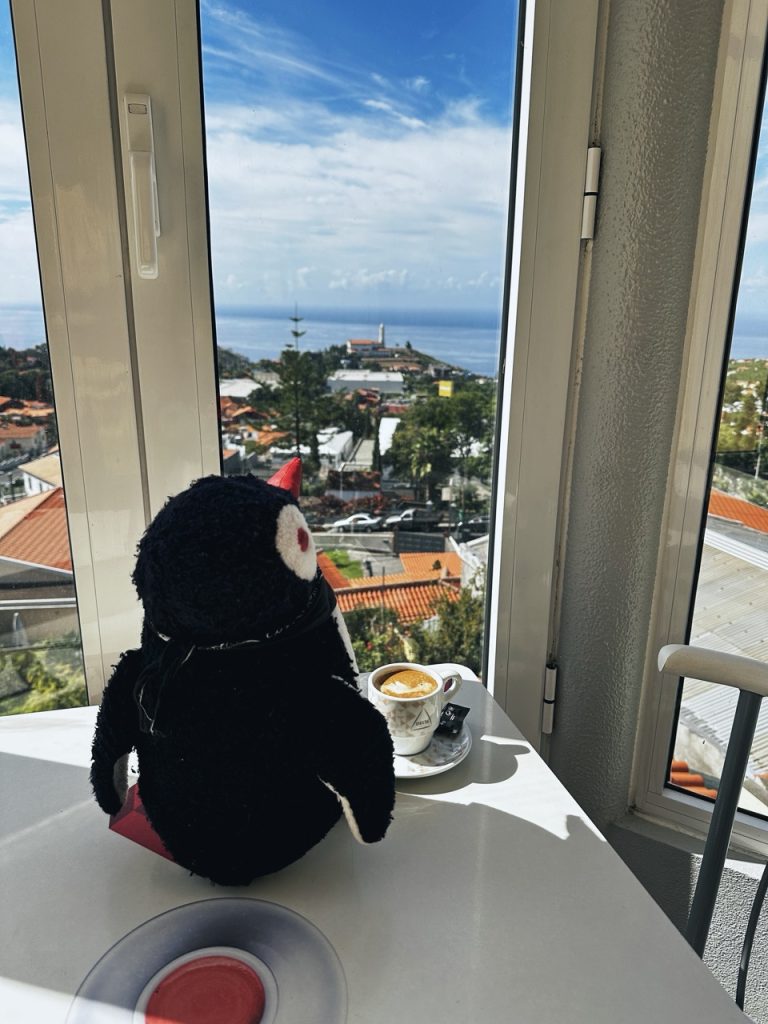 Pinguim snack bar funchal