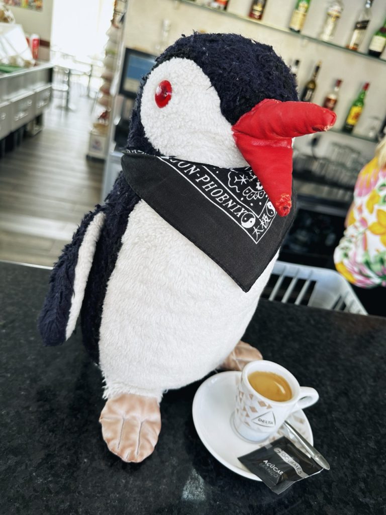 Pinguim snack bar funchal