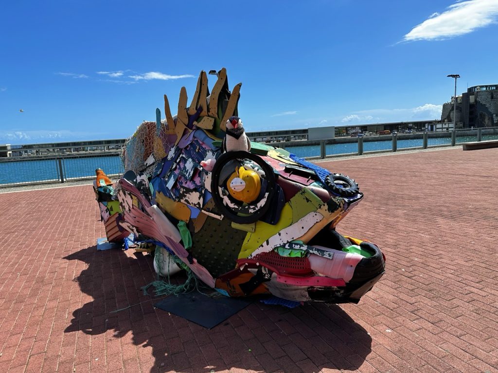 Plastic grouper