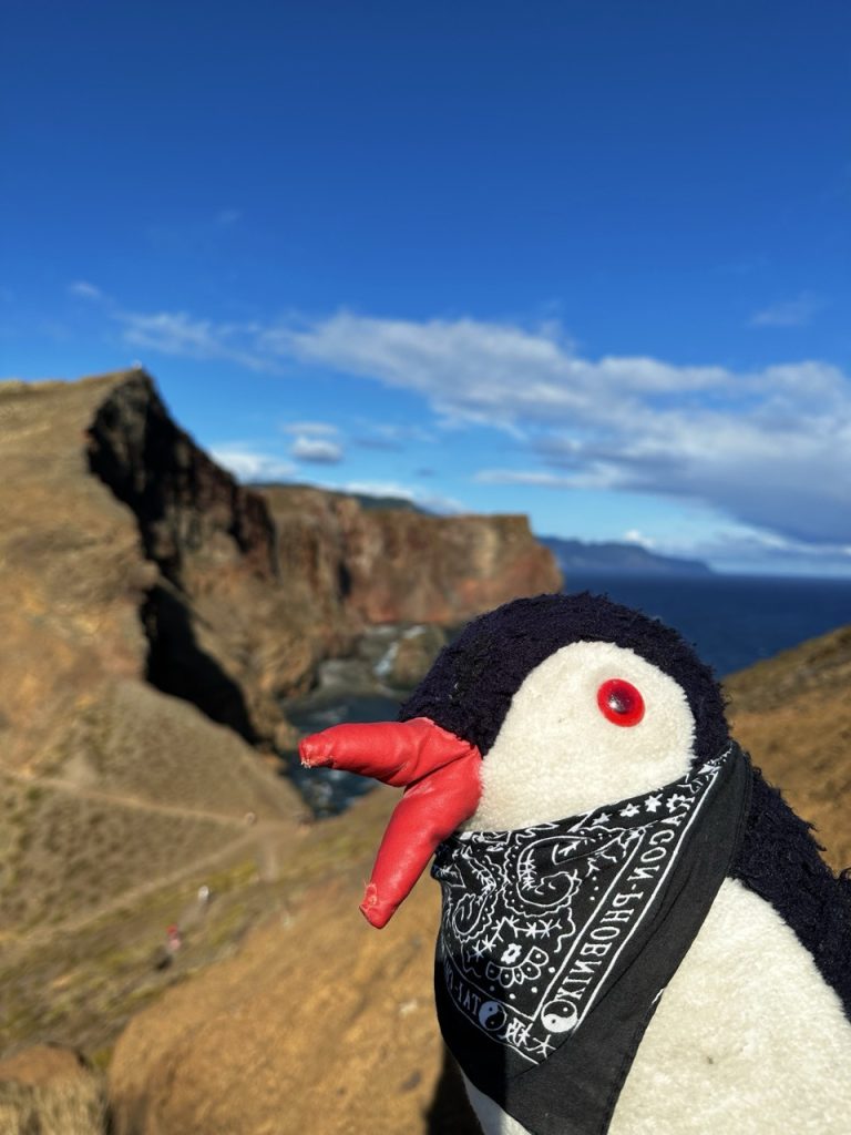 Ponta de sao Hike Madeira