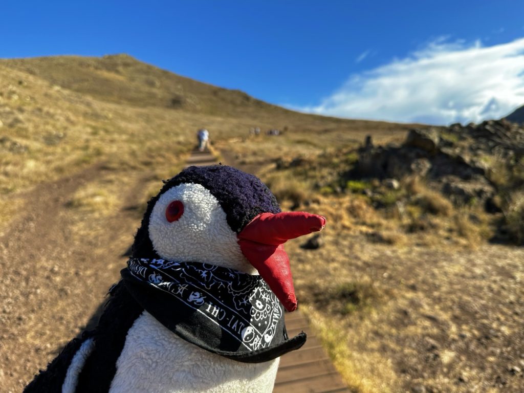 Ponta de sao Hike Madeira