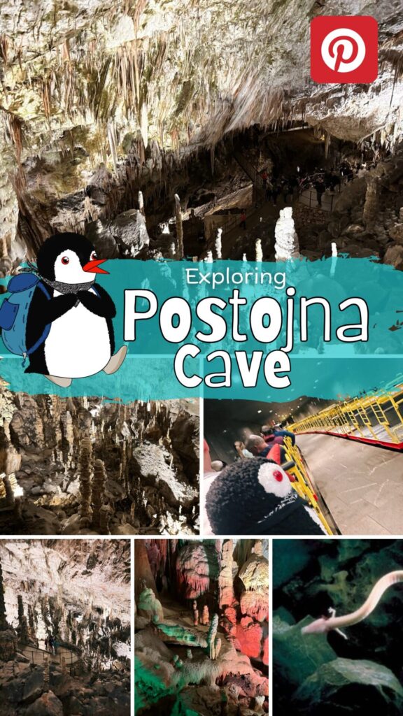 Collage of Postojna Cave featuring stalactites, a cave train, and an olm salamander
