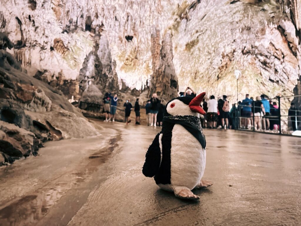 Postojna Cave slovenia