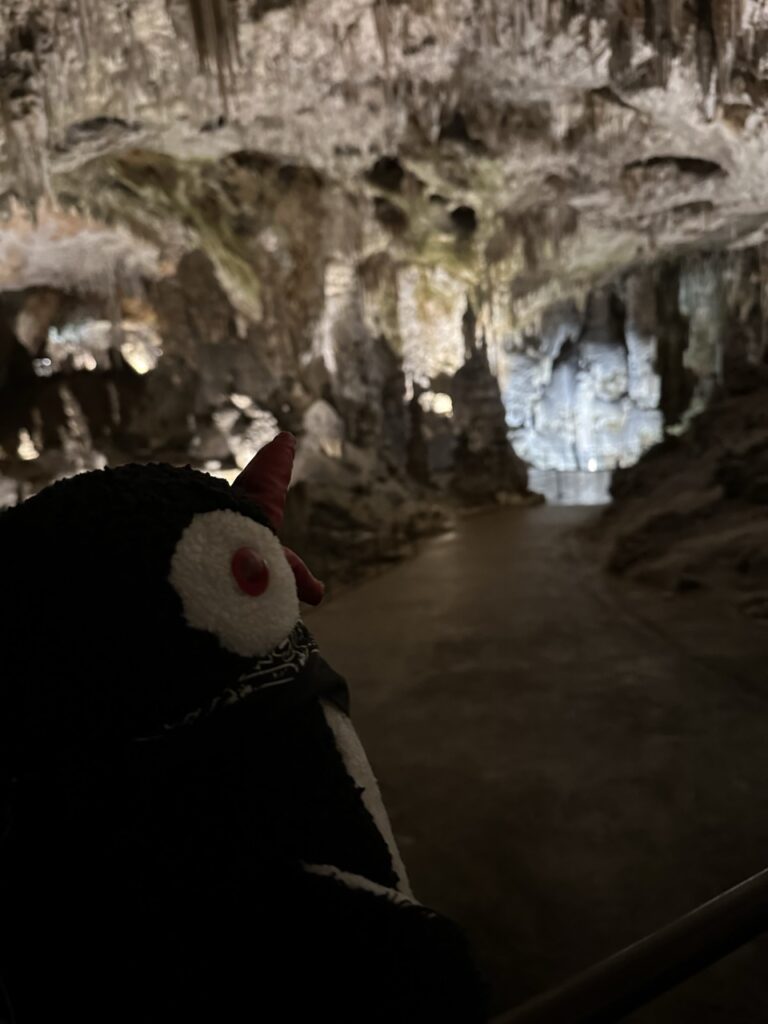 Postojna Cave slovenia