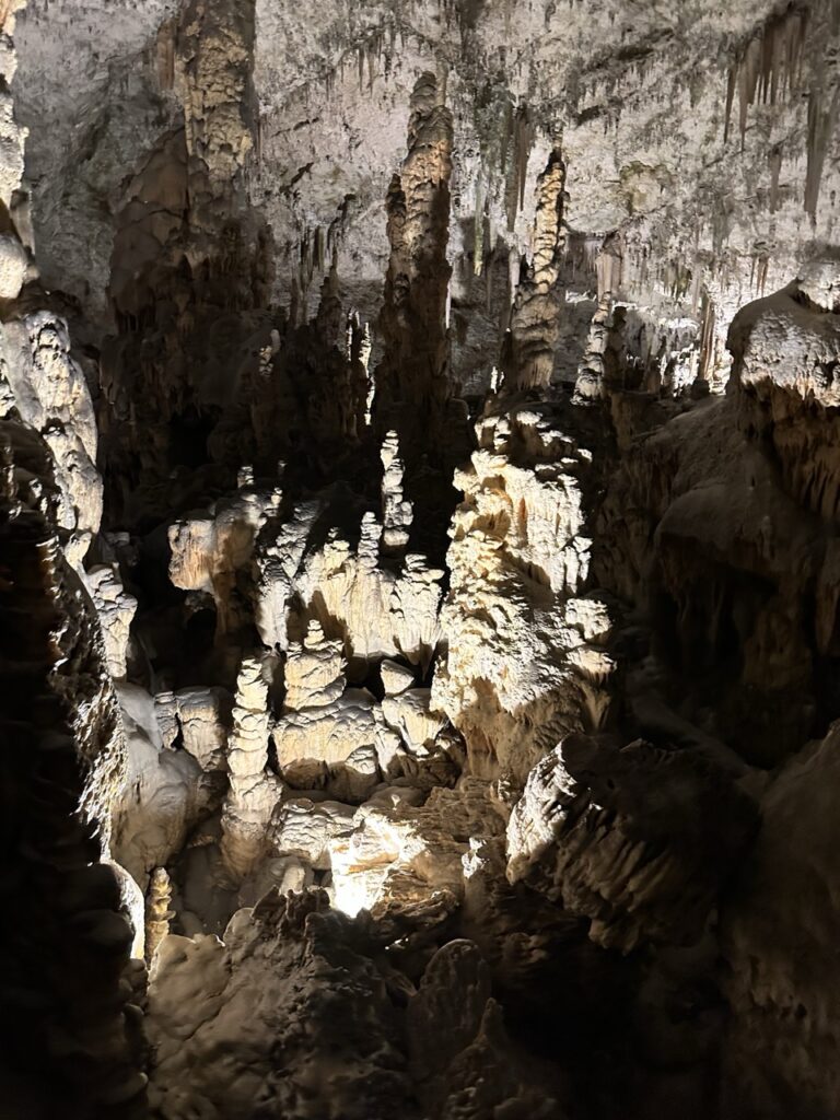 Postojna Cave slovenia