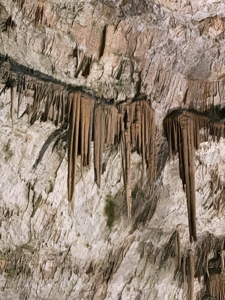 Postojna Cave slovenia