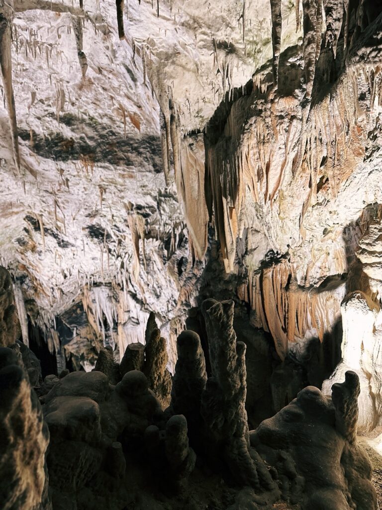 Postojna Cave slovenia