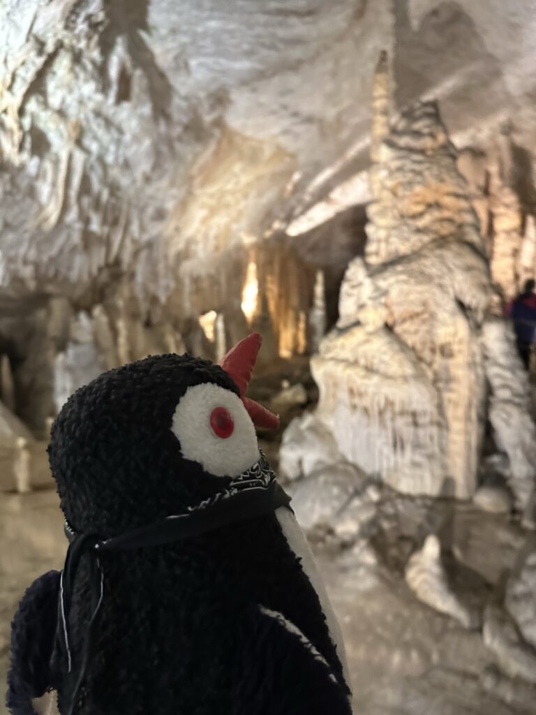 Postojna Cave slovenia