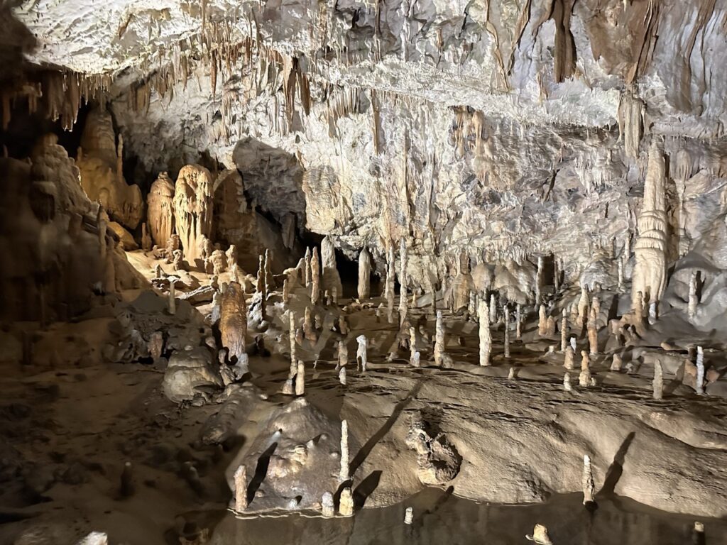 Postojna Cave slovenia