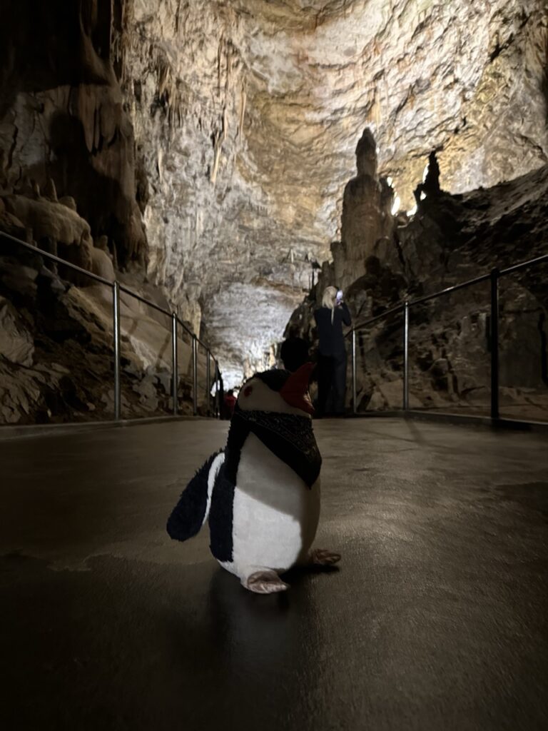 Postojna Cave slovenia