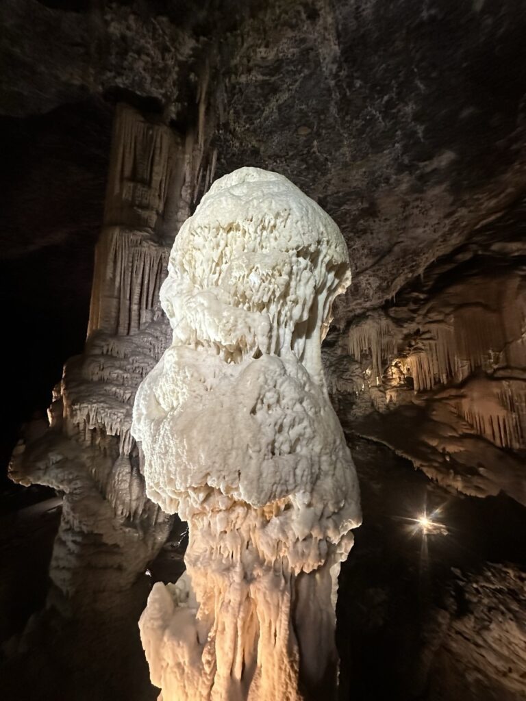 Postojna Cave slovenia