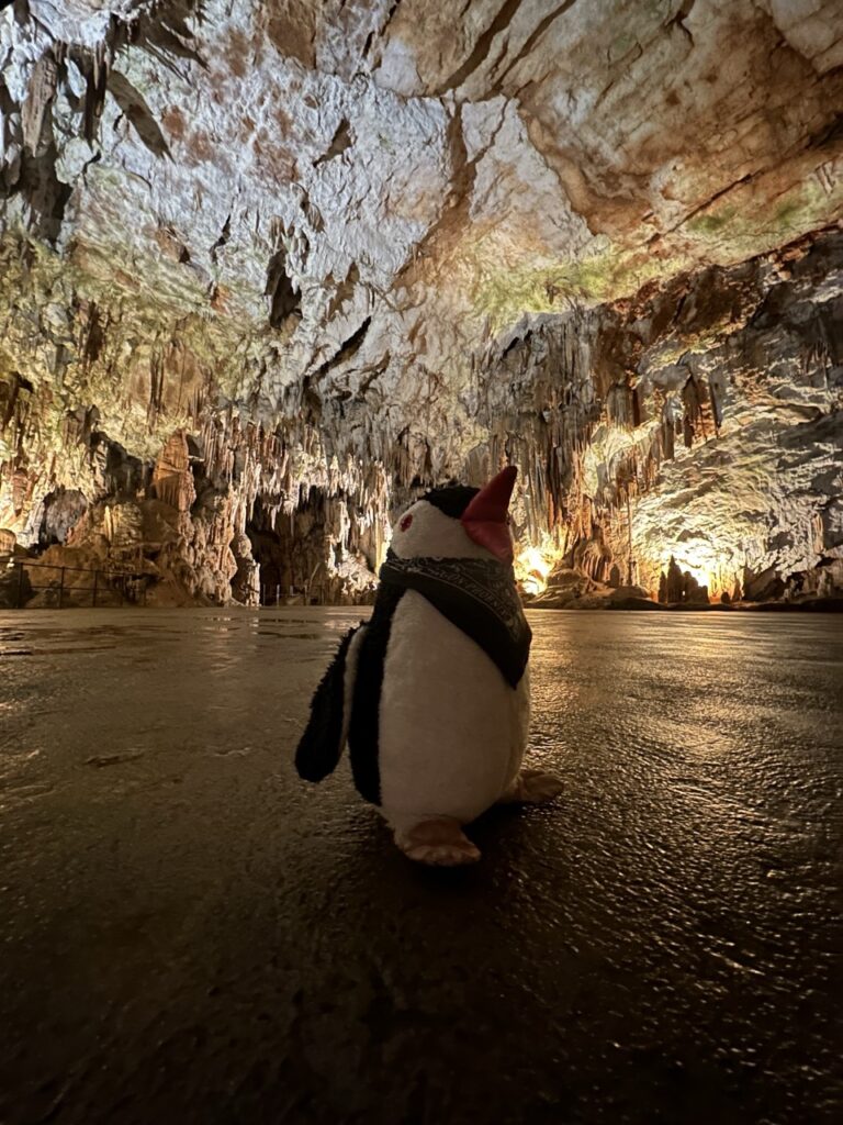 Postojna Cave slovenia