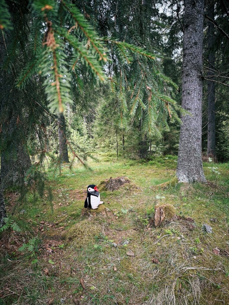 Rackova dolina hike slovakia