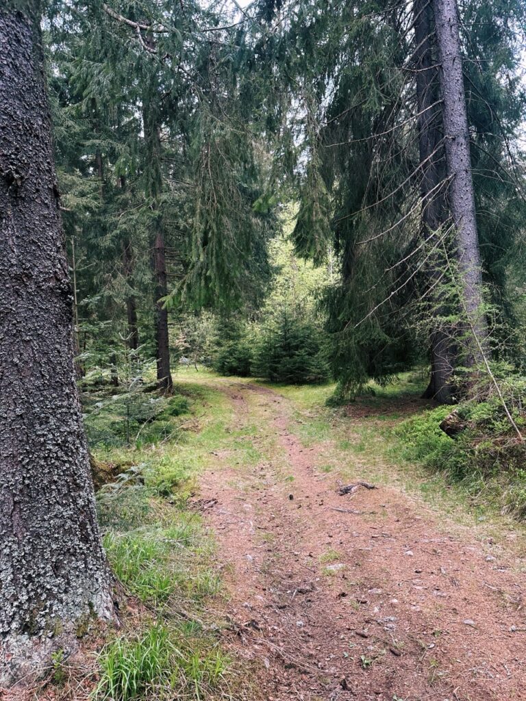 Rackova dolina hike slovakia