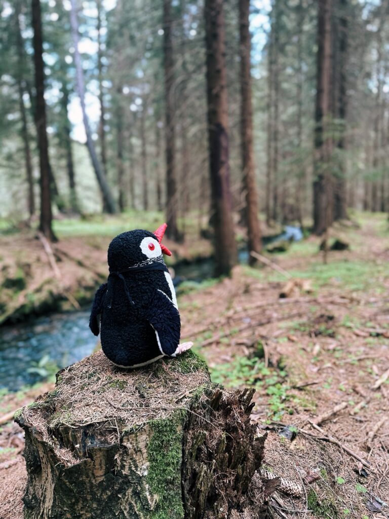 Rackova dolina hike slovakia