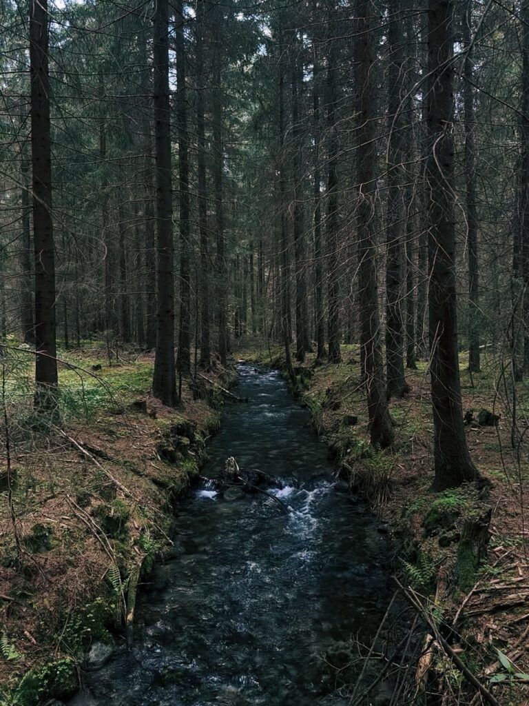 Rackova dolina hike slovakia