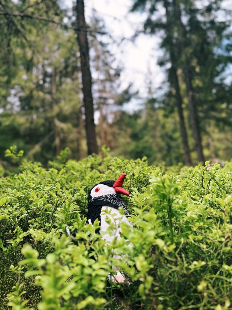 Rackova dolina hike slovakia